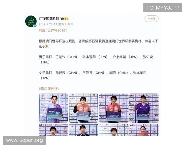 2026年世界杯已经确定的参赛国家队完整名单及其晋级路径分析